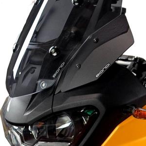 Deflectores Motoguzzi Stelvio V100 24- Biondi Â· 2